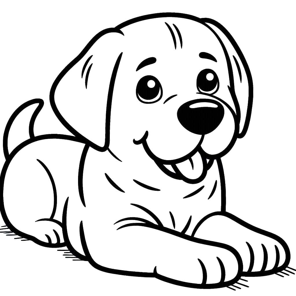 Nakreslete Labrador omalovánka
