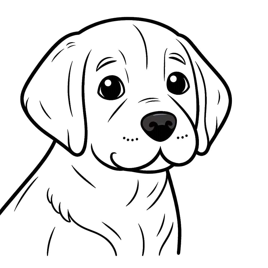 Obraz Labrador zdarma tisknutelné omalovánka