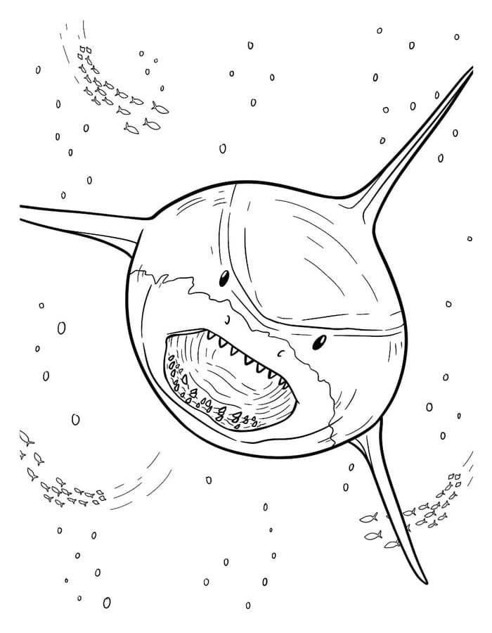 Megalodon snadný tisknutelné omalovánka