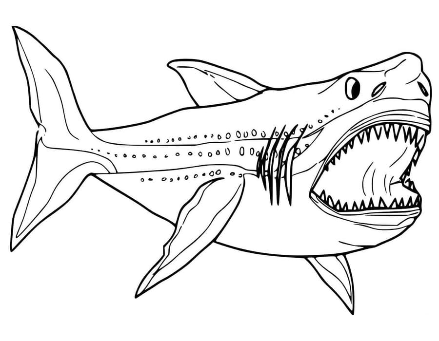 Megalodon zdarma snadný omalovánka