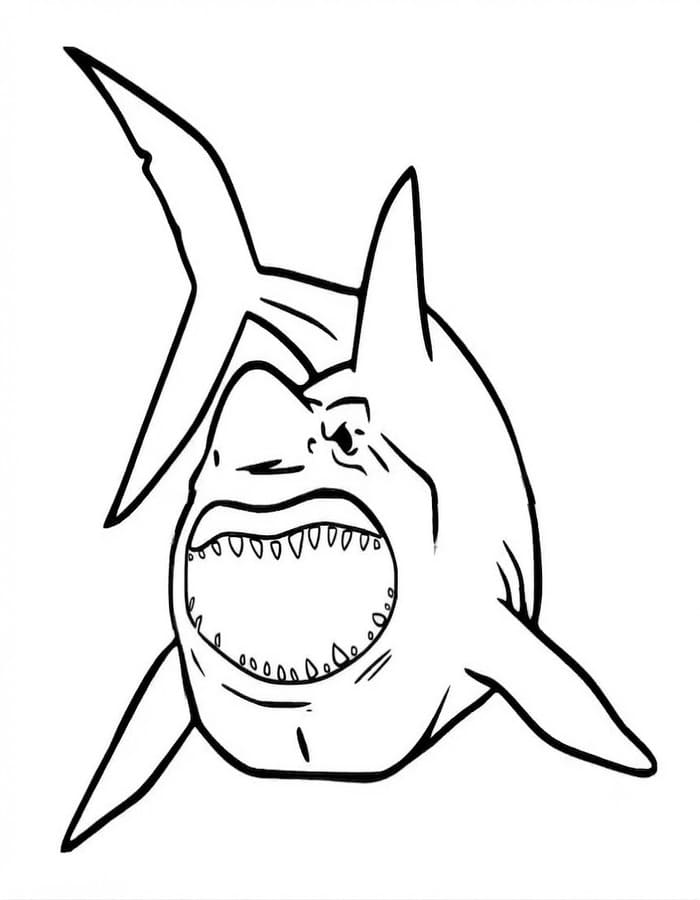 Megalodon zdarma základní tisknutelné omalovánka