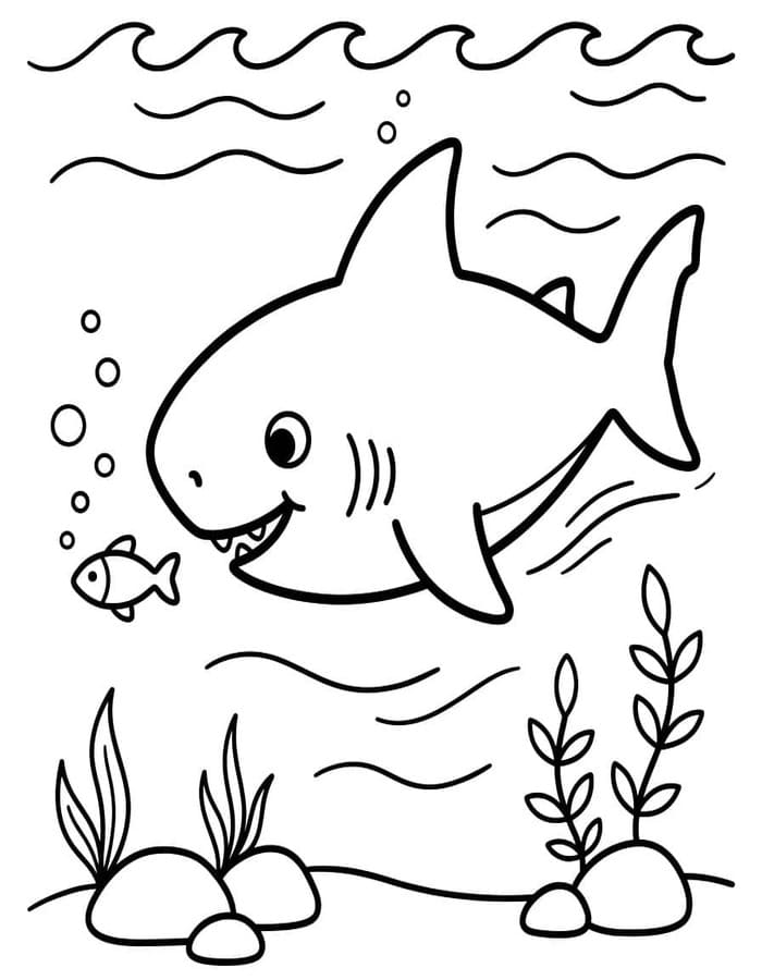 Megalodon zdarma základní omalovánka