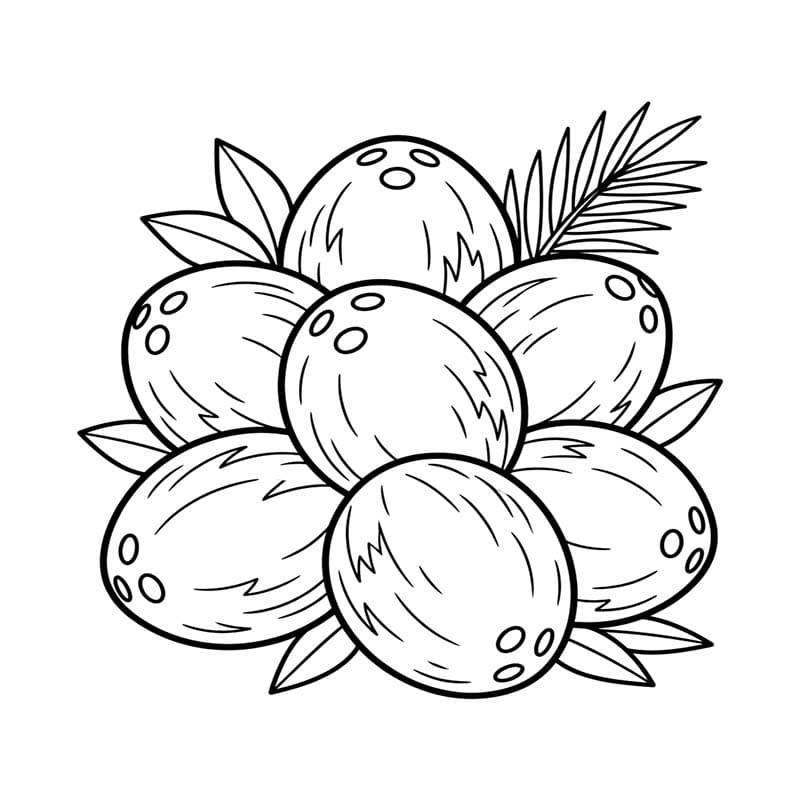 Kokos