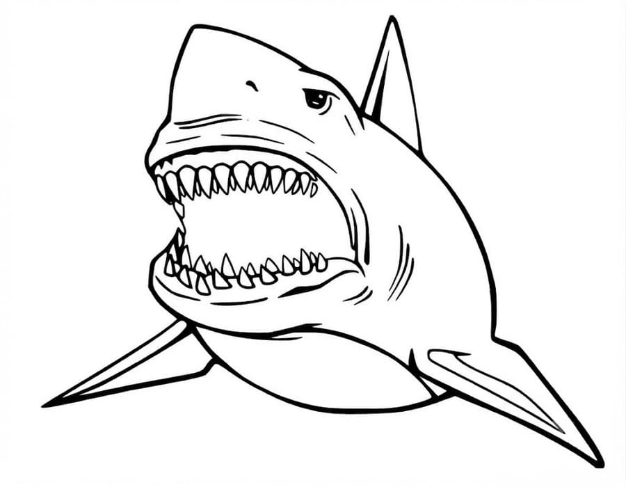 Nakreslete Megalodon prostý omalovánka