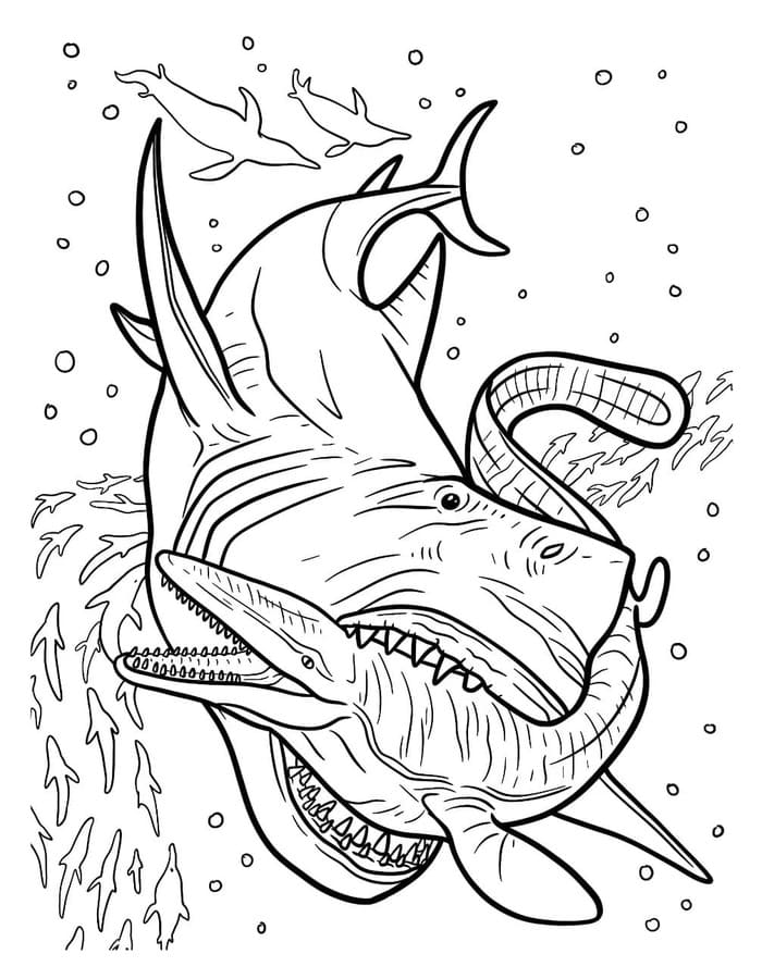 Nakreslete Megalodon snadný tisknutelné omalovánka
