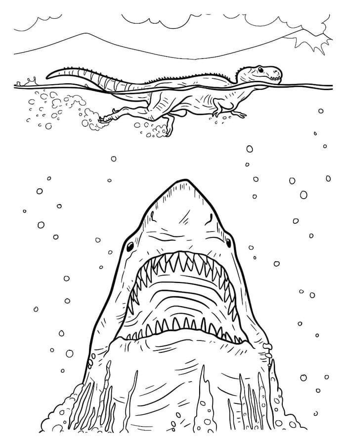 Nakreslete Megalodon tisknutelné omalovánka