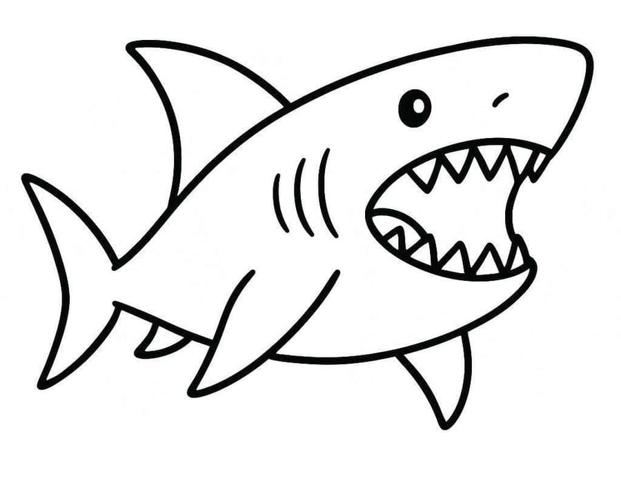 Megalodon