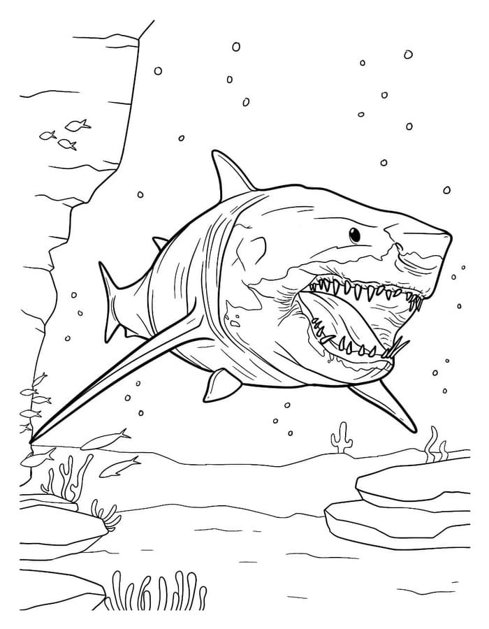 Nakreslete Megalodon zdarma snadný tisknutelné omalovánka