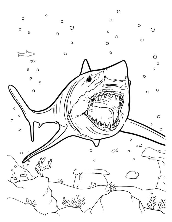 Nakreslete Megalodon zdarma snadný omalovánka