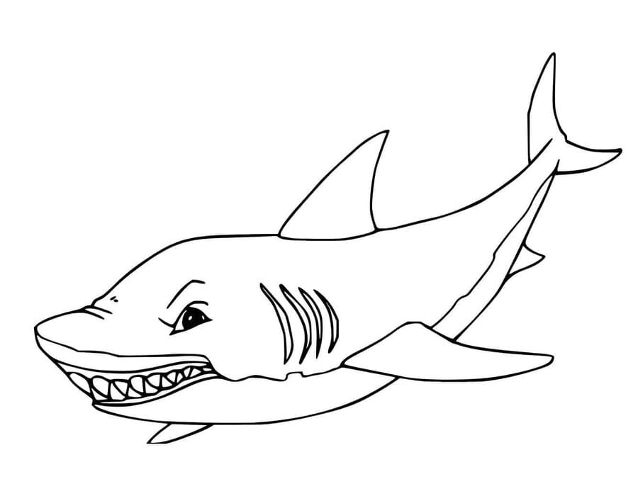 Nakreslete Megalodon zdarma základní tisknutelné omalovánka