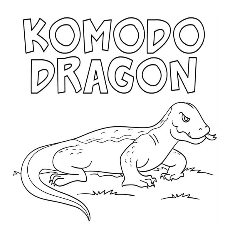 Varan Komodský