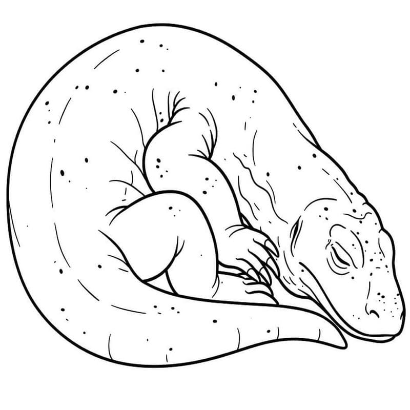 Nakreslete Varan Komodský zdarma pro děti omalovánka