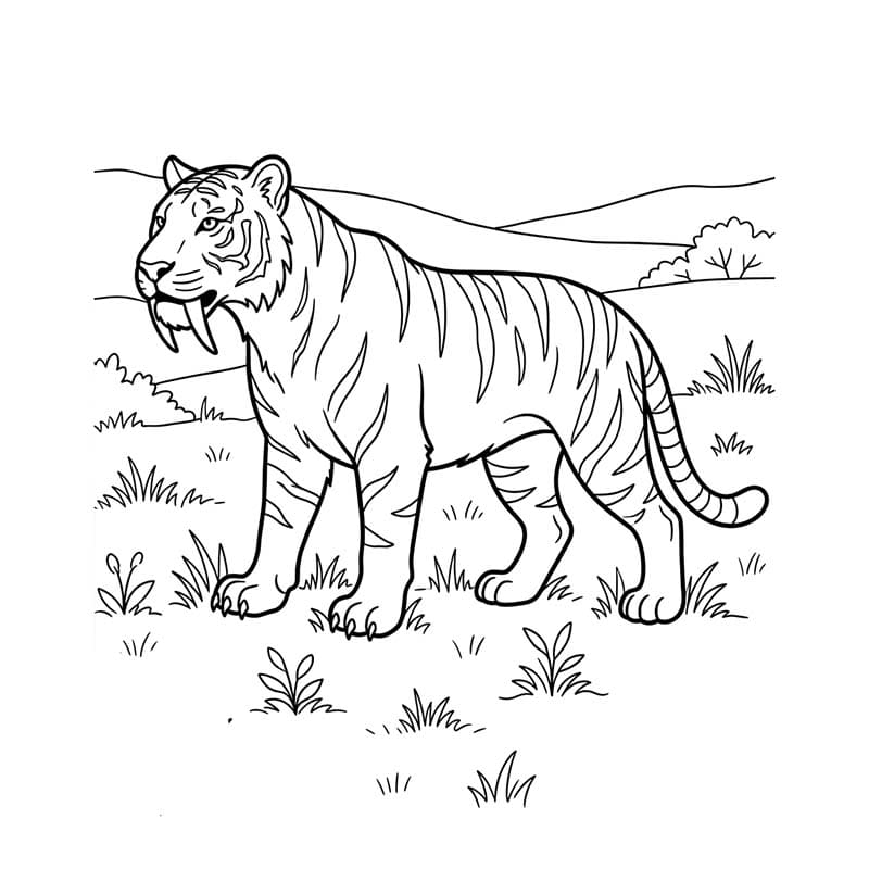 Šavlozubý Tygr tisknutelné omalovánka