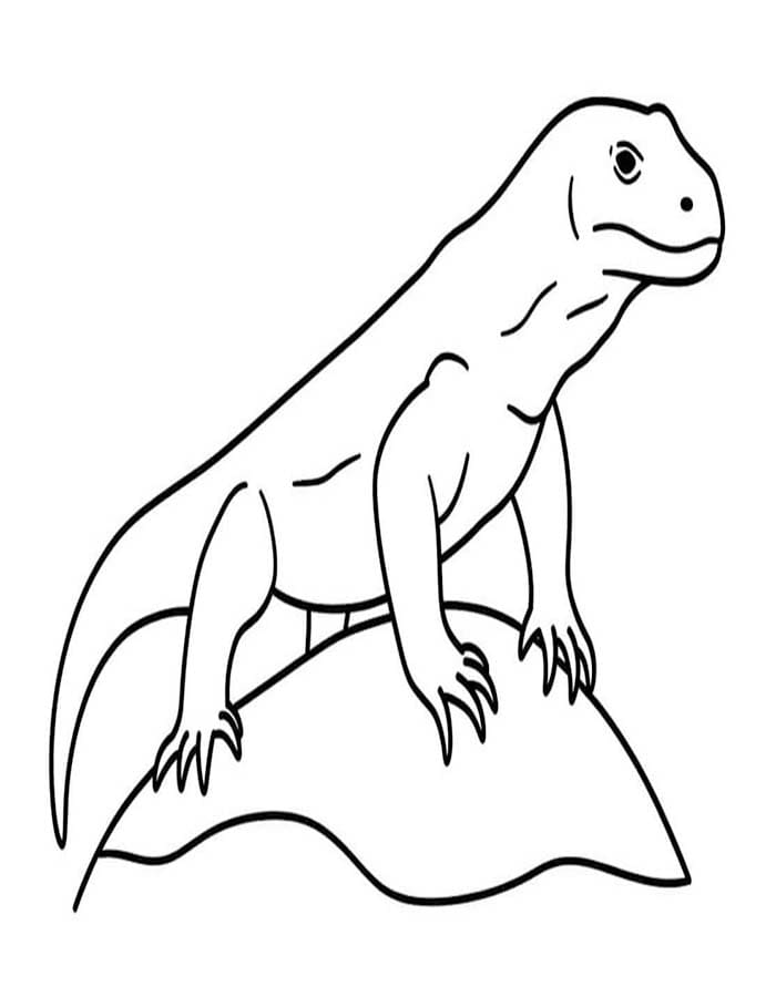 Varan Komodský pro děti omalovánka