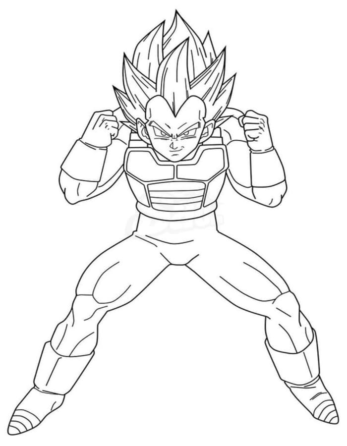 Vegeta zdarma základní omalovánka