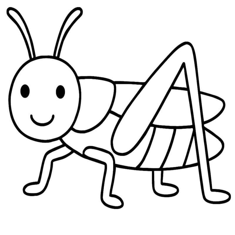 Nakreslete Saranče snadný tisknutelné omalovánka
